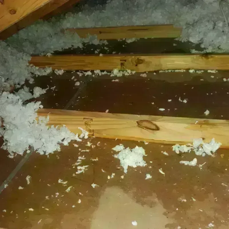 Attic Water Damage in Davenport, WA