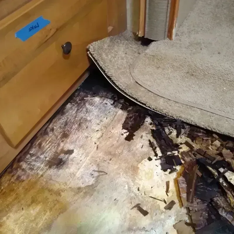 Wood Floor Water Damage in Davenport, WA